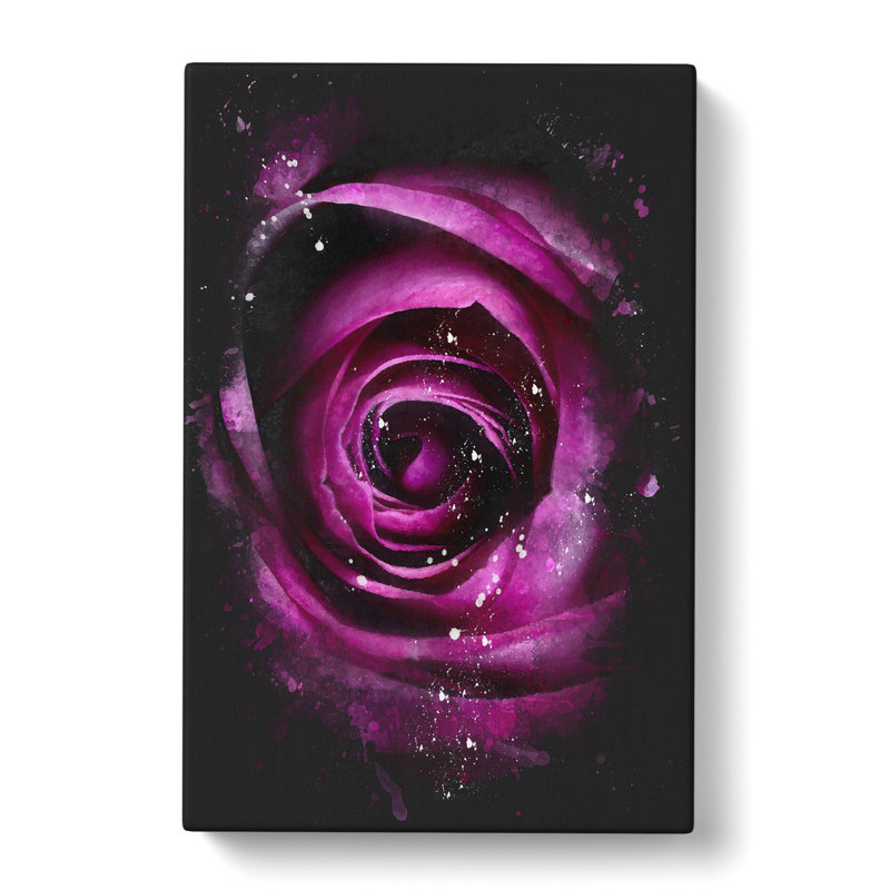 Striking Purple Rose - Wrapped Canvas Painting, 50cm H x 35cm W x 3cm D