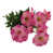 Pink selected