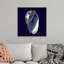 « Indigo shells V » par vision studio-impression-567973469-567973458