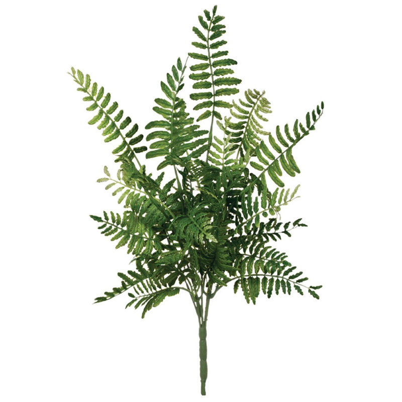 Pulvérisateur de palmes