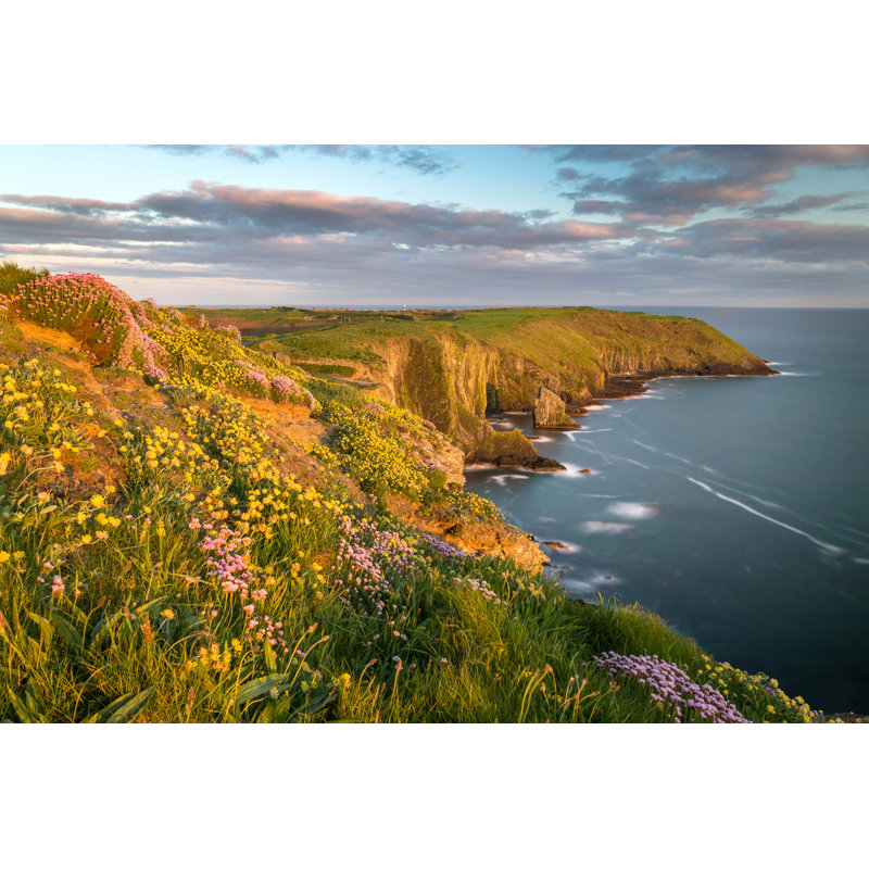 Vieille tête de Kinsale - photographie sur toile tendue, H 12 po x l 18 po