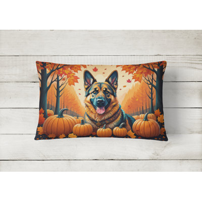Other/No Pattern Outdoor Throw Pillow