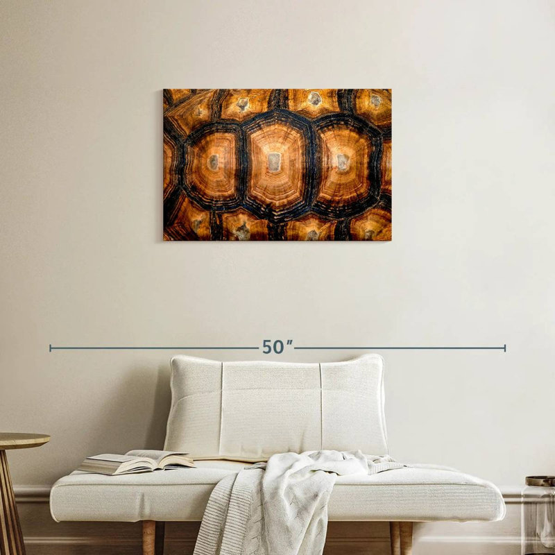Texture de carapace de tortue Brampt, H 20 po x l 30 po