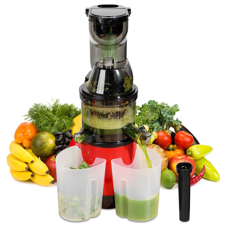 Presse-agrumes à pression lente à froid 300W pour légumes et fruits entiers avec fonction inversée 2 récipients à brosse de nettoyage transparent