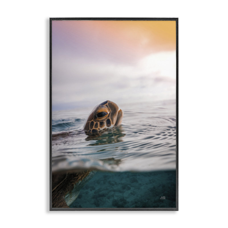  Tortue nageant au lever du soleil, estampe numérique par Max Blakesberg Studios, H 18 po x l 12 po