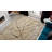 Neace Contemporary Moth Wing Area Rug-91499703