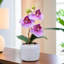 Petite plante artificielle orchidée rose d'intérieur, 9 pouces, 3 cm-98389292-98389293