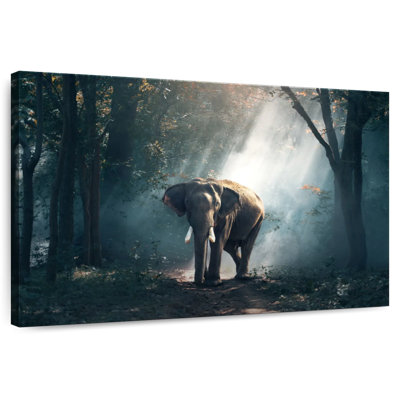 Brampt Sunlit Jungle Elephant