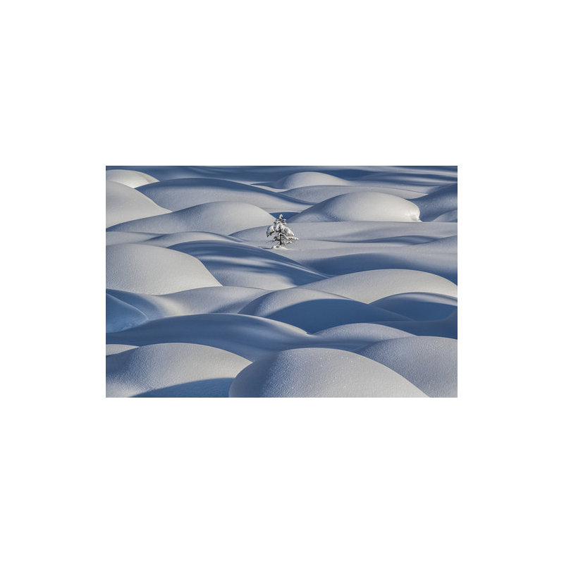 Wrapped Canvas Print, 50.8 cm H x 76.2 cm W