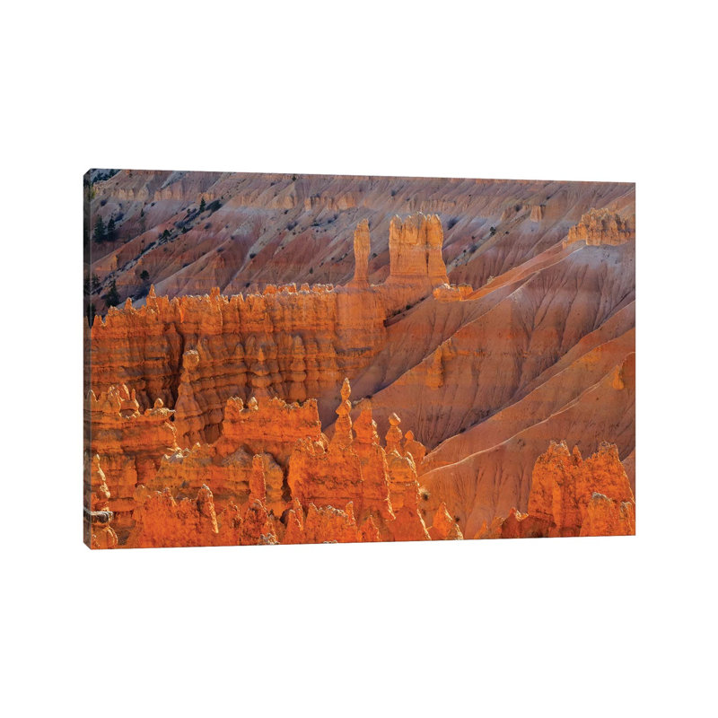 Utah, Bryce Canyon National Park. View Of Canyon With Hoodoos by Jamie & Judy Wild - Wrapped Canvas Print