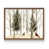Noyer