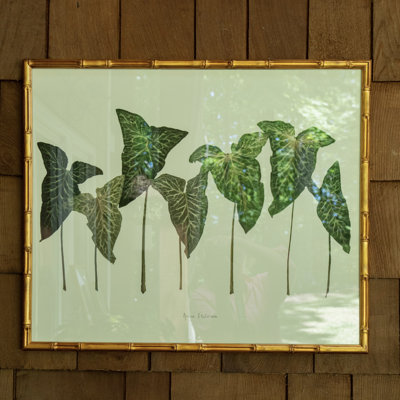 Arum Italicum Garden Framed Print