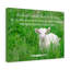 God In Him 2 Corinthians 5:21 - Wrapped Canvas Print-2047909331