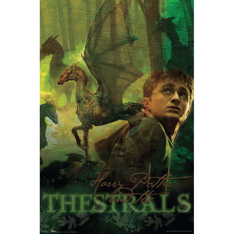Impression sur papier 5-thestrals harry potter