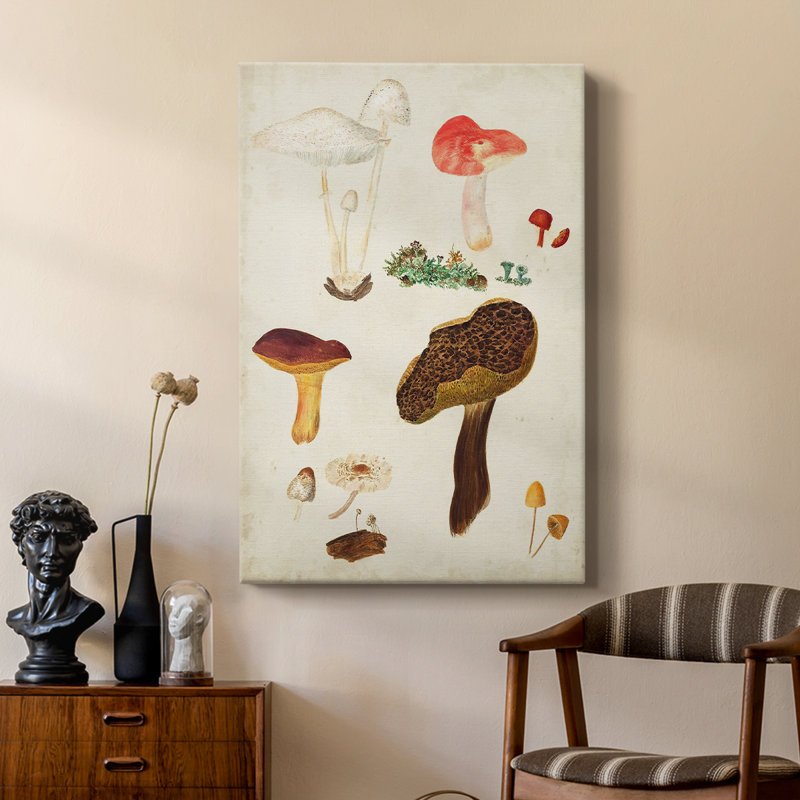 Mushroom Species XI - Gallery Cavas, H 18 po x l 12 po