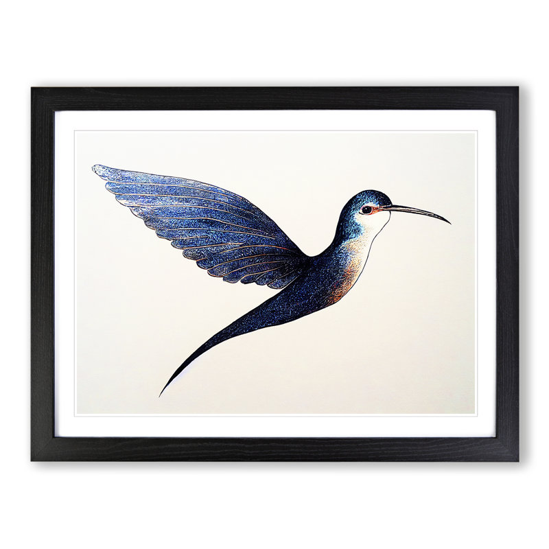 Swallow Bird - Single Picture Frame Print, Black Framed, 46cm H x 64cm W x 2cm D