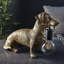 Towcester Resin Novelty Lamp-130579099