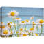 Fleur, champ de marguerites blanches sur des panneaux effet bois rétro, illustrations florales, art moderne, rustique, paysage-101091065-101091066