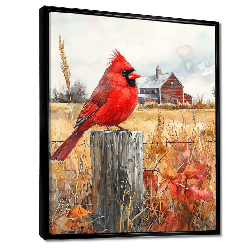 «Kohl Cardinal Bird» par The Farmhouse IV - Art mural oiseau, H 40 po x l 30 po, Impression encadrée flottante, Noir