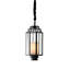 Monticello 1 - Light Pendant-62068645