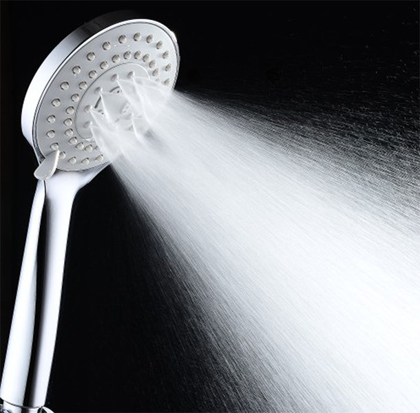 Esterbrooke Handheld Shower Head