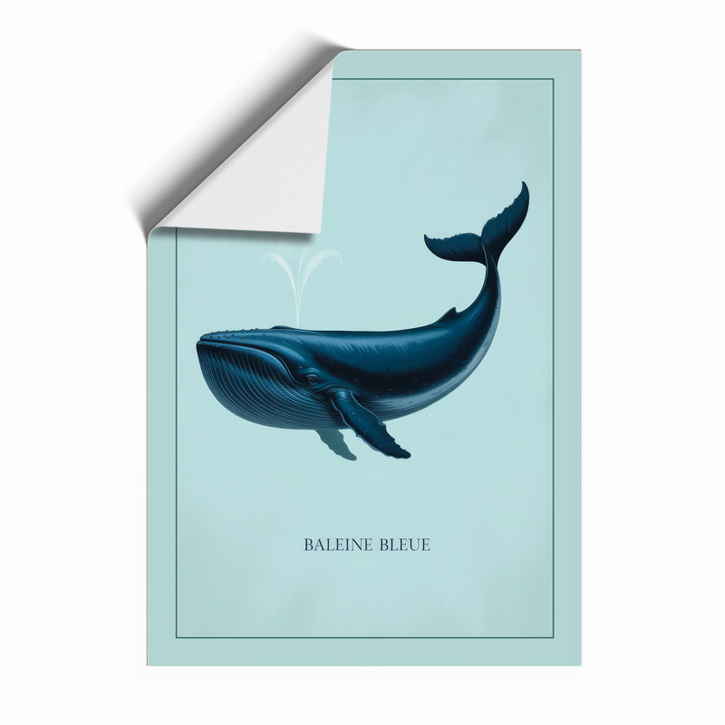 Baleen Whale Modern - Framed Print, Unframed, A2 - 59.4 x 42.0 cm