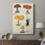 Mushroom Species VII - Gallery Cavas-1535628298