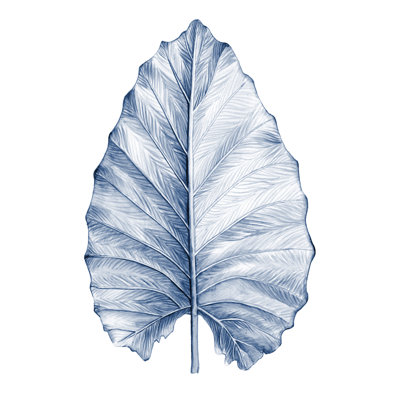 UA AU Indigo Tropical Leaves III by Megan Meagher - Wrapped Canvas Painting