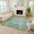 Machine Washable Indoor/Outdoor Kaczor ACN2224 Floral Rug-852581185