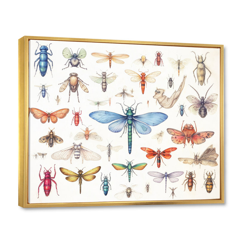 «Tiny Insect Wonders I», reproduction sur toile, Cadre flottant doré, H 16 po x l 32 po x P 1 po