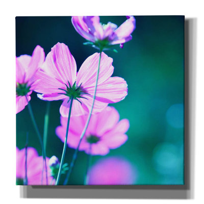 "Fleurs roses 2" par PhotoINC Studio