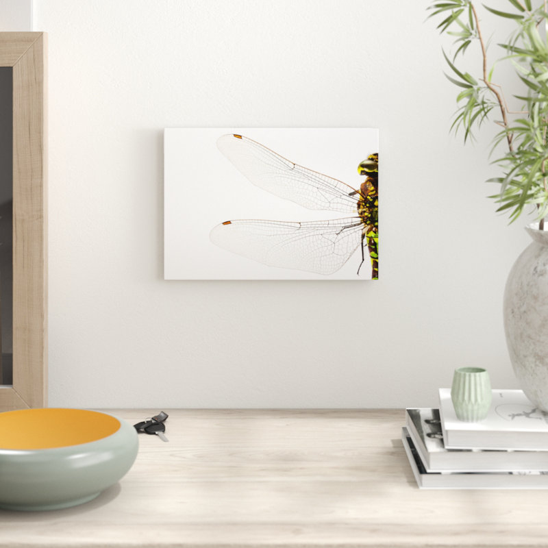 Dragonfly Insect - Frameless Print, 29.7 x 42cm