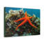 Wall Art on Canvas-1960035424