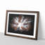 Autumn Forest Reaching Upward Paint Splash - Framed Print-56891292-56891295