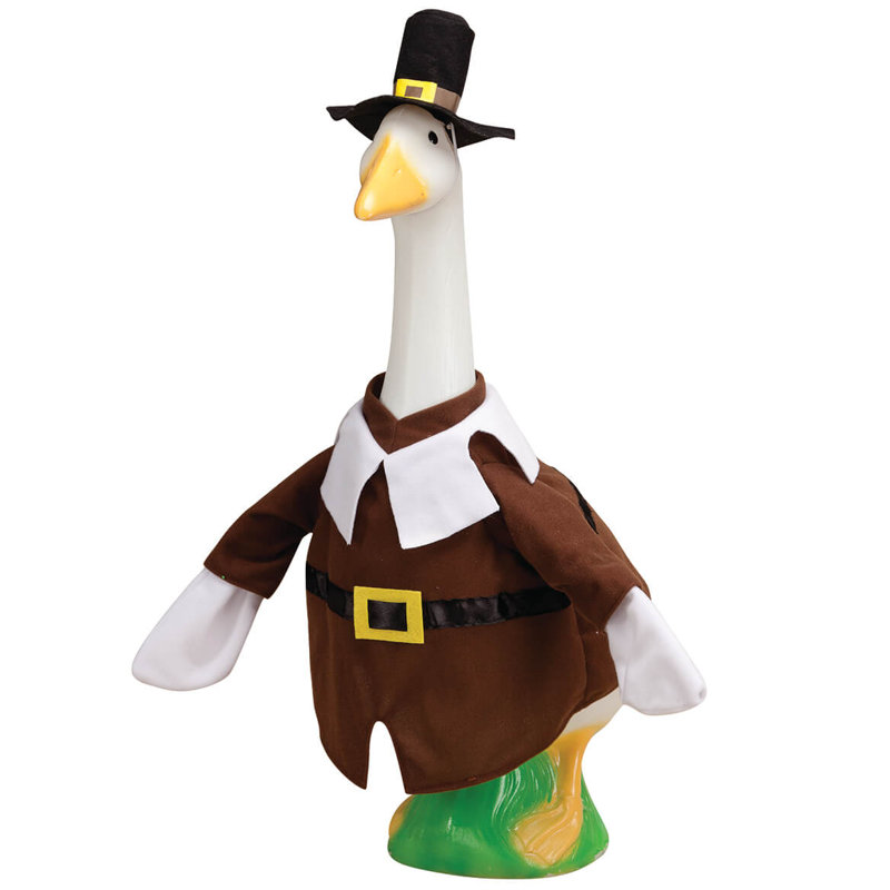 Tenue Pilgrim Boy Large Goose