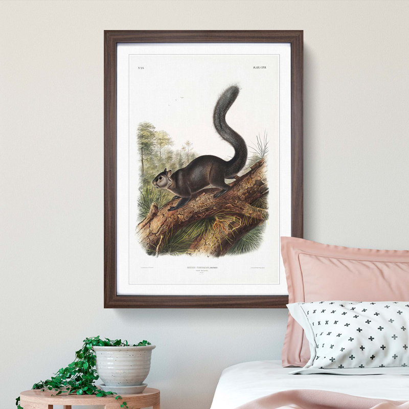 Dusky Squirrel by J.W. Audubon - Picture Frame Painting Print, 48cm H x 36cm W x 2cm D, Walnut Framed