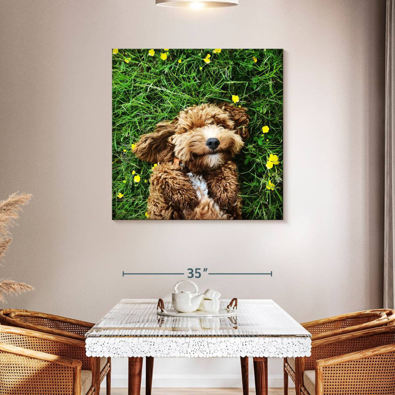 Crowle Happy Cockapoo Dog, H 39 po x l 39 po
