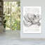 Black And White Octopus Line Drawing Contemporary Octopus Wall Art Print-2121052262