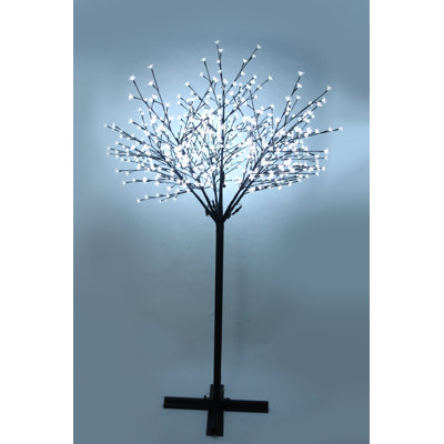 Cherry Blossom Lighted Trees & Branches