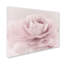 Art mural sur toile tendue - "Mike Rose Photo" par Michael Jones pour décoration de salon, de chambre à coucher ou de bureau - 35 x 47-31355321