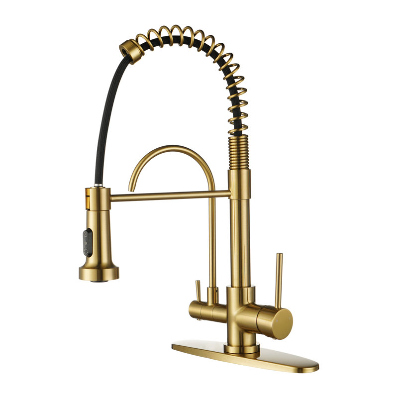 Robinet de cuisine 3 en 1 avec filtre à eau et eau de source, Or