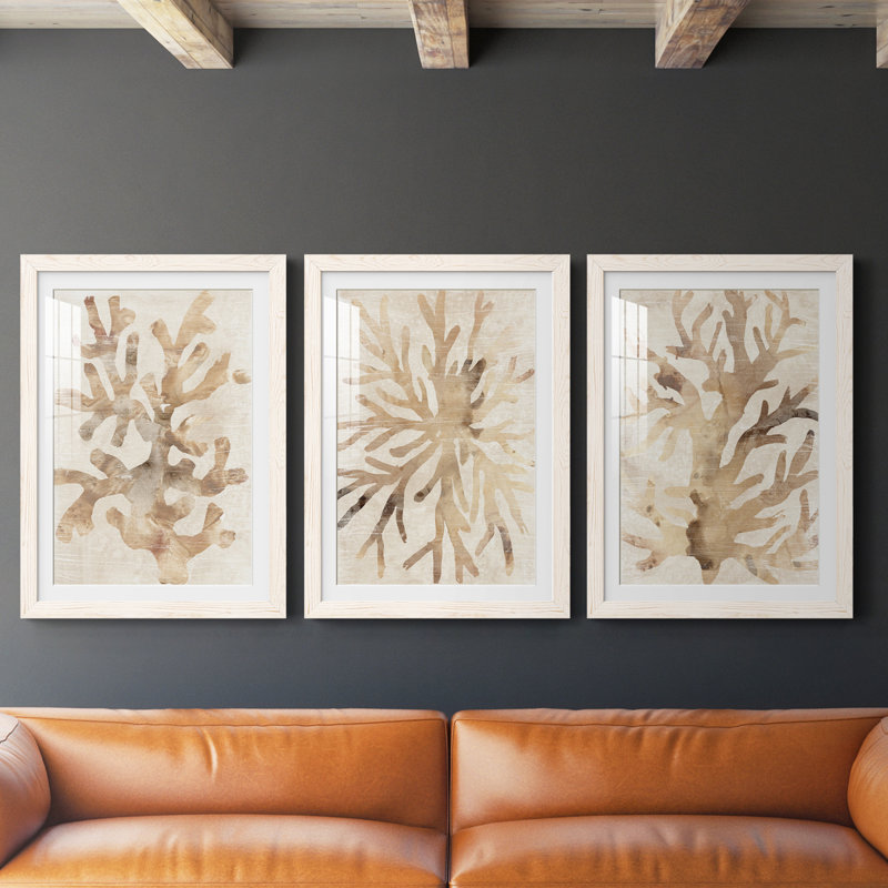 Parchment Coral I - ensemble de 3 reproductions de cadres photo, Blanc, H 20 po x l 51 po x P 1,5 po