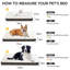 Orthopedic Dog Bed with Removable Cover-604749266-604749270