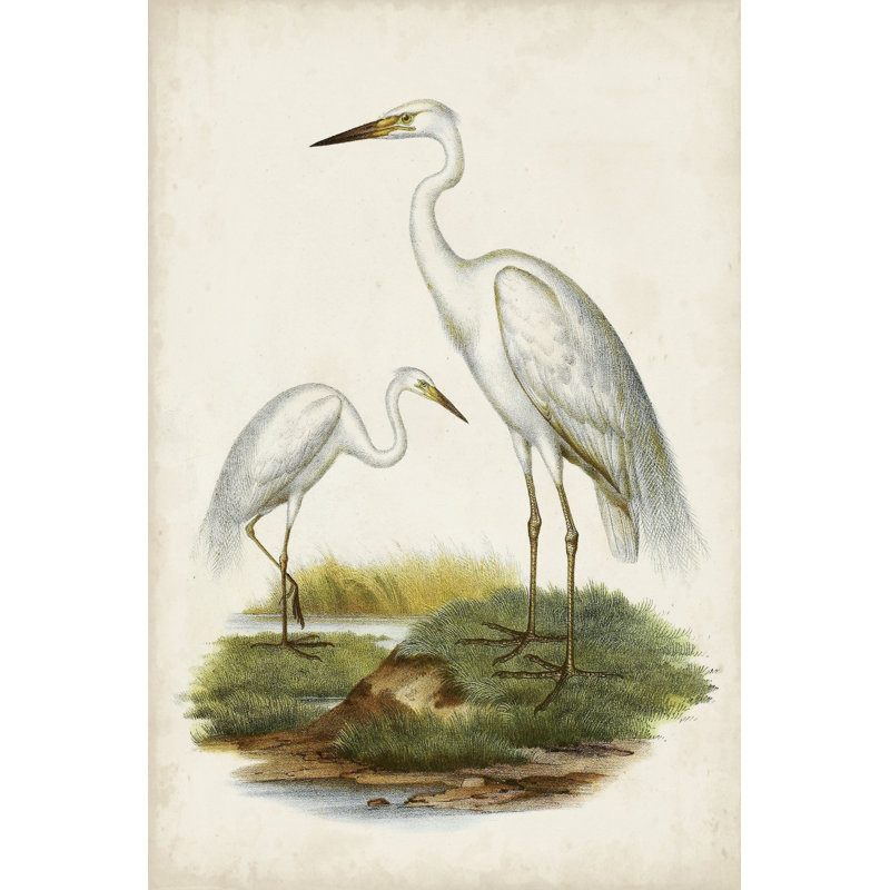 Oiseaux d'eau antiques V - peinture sur toile tendue, H 12 po x l 8 po