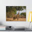 No Frame Print on Canvas-305571394