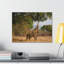 No Frame Print on Canvas-305571395