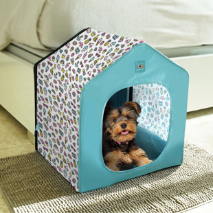 Caisse pour petits chiens et chats