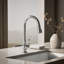 Artifacts® Pull Down Single Handle Kitchen Faucet-14673523