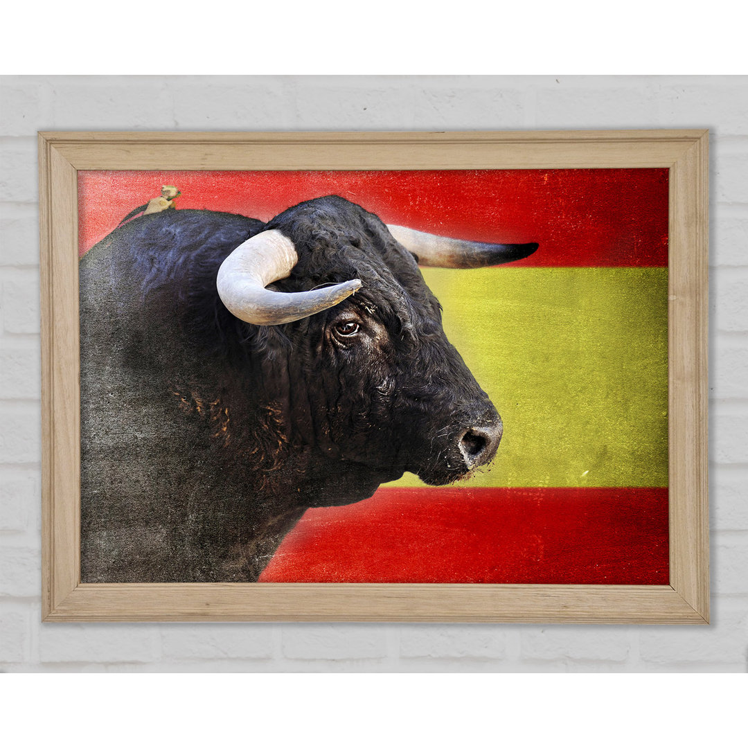 Spanischer Stier - Druck