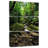 Tergel Jungle Falls-106801703